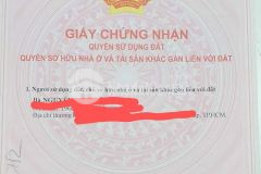 Bán nhà lê đức thọ,p16 gò vấp 52m2 có 2 phòng cho thuê chỉ 3 tỷ 7