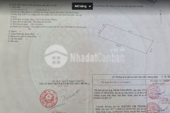 Chuyển nhượng nhanh mảnh đất cln sát đường liên huyện, gần biển phan rí, shr, lh 0946071867