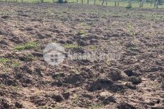 Bán 2700m2 đất xã hồng liêm đối diện safari đầu tư sinh lời ngay