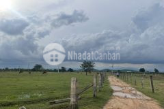 Bán 3000m2 đất ngay khu du lịch sinh thái safari, khu nghỉ dưỡng