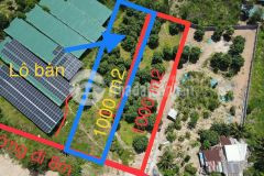 Chủ kẹt đáo hạn ngân hàng bán gấp lô suối cát trong tháng