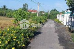 Đất nền đường nhua tân đông cần bán