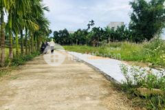 Chợ thanh quýt 160m2 đường 5m5 khu dân cư đông