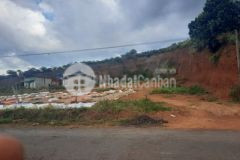 Cần bán đất mặt tiền đườg có thổ cư sổ hồng riêng