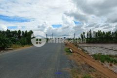 Bán 10 219m² 40x193 đất lúa đt 856 phương thịnh