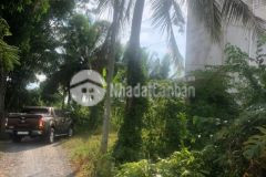 Đất 1000m thổ cư, xã nhựt chánh, bến lức, đường nhựa 5m, doanh thu hơn 100tr, chỉ 13 tỷ