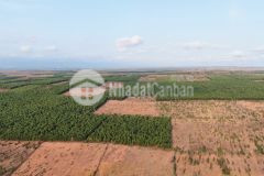 Đất 8174m2,sổ đỏ,2mt liên huyện,phan thiết 35km,2,612 tỷ