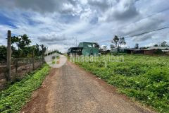 Một lô đất siêu phẩm khu vực đồi thông giá đầu tư cần sang nhượng lại