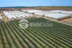 Bán mảnh vườn 680 triệu, ngay khu du lịch safari hồng liêm, sổ hồng riêng.lh zalo xem sổ ạ