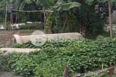 Bán đất phường hóa an, ai có nhu cầu liên hệ ngay, thích hợp đầu tư dài hạn