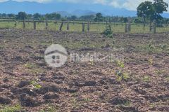 Bán ngay 2700m2 đất xã hồng liêm vị trí đắc địa đối diện safari 3.300ha