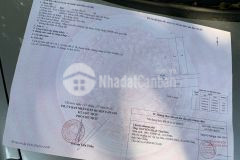 Bán đất mt xương cá, lý nhơn, cần giờ 14,5 x 69 1000m2, giá 3,2 tỷ.