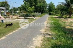 Bán đất nền thổ cư ở thạnh bình tân biên 4951 lô