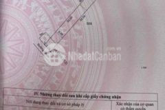 Nhựa long tân 5x60m giá ngộp