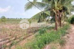 Bán 10 500m đất thổ vườn