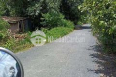 Đất nền hòa khánh giá rẻ