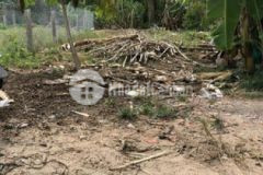 Bán lô thổ 144m2 bình trinh đông tân trụ