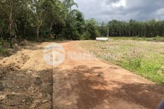 Đang xây trọ bị hụt tiền nên cần ra lại miếng đất mới mua giá hoàn vốn