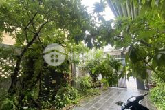 Cho thuê nhà 4 tầng sân vườn 29, ngang 6m