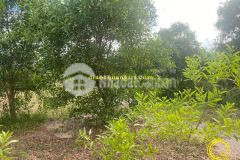 Lô đất dãy 2 quốc lộ 1a, hải thượng, hải lăng