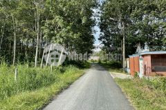 Cần bán miếng đất vườn 1378m2 ở củ chi giá 2 tỷ 150.