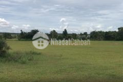 Cần tiền trả lương nhân viên nên bán lô đất gần quốc lộ 1a, cao tốc, tại bình thuận