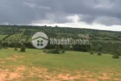 Bán lô đất sau ủy ban xã bình tân, đối diện là farm bình sơn, sổ hồng riêng