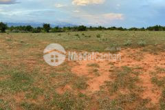 Lô đất xã sông luỹ 8459m²có đường trên sổ giá 140.000m2.lh tôi có zalo ạ0919 626 750