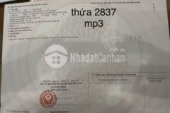 Cần ra gấp lô đất giá mp3