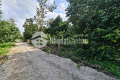 Bán đất 30x17m full hồng lộc an long thành