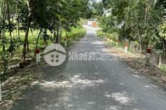 Bán đất tan an nhánh mạc đỉnh chi mat tien nhua 5m