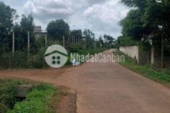 Bán vườn 1 3ha mt liên xã 5m