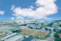 Chính chủ bán đất chợ hội bài tân hoà gấp gấp