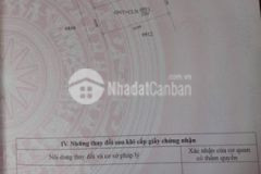 Lốc fo 5 lô ea tiêu siêu đẹp đầu tư