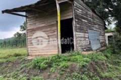 Bán gấp 4000m2 đất có sẵn nhà gỗ và 2 ao cá