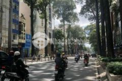 Mt phường bến thành q1 giá bán đầu tư