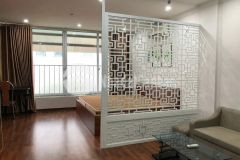 Nhà đẹp phố nguyễn du lô góc thang máy ôtô đỗ cửa. gía 24.5 tỷ.