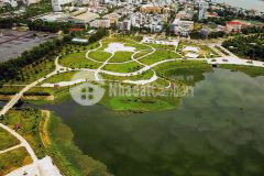 Giá nào cũng bán bán gấp nhà phố 240m sàn,cắt lỗ 400tr. lh ngay 0833911818.