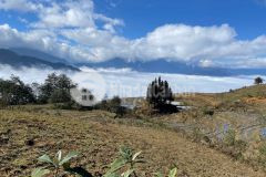 Cần bán mảnh đất view mây, ruộng bậc thang y tý sapa2