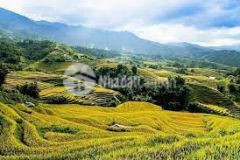 Đất nền trung tâm sapa phù hợp xây dựng khách sạn, khai thác bốn mùa