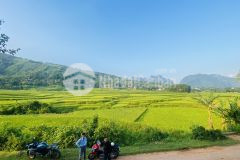 Bán gấp lô đất có dt 1000m²full thổ cư sở hữu view triệu đô cực đẹp mà giá chỉ 1,x tỷ cực rẻ