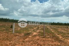 Bán lô đất bạch đàn chỉ từ 680 triệu 2700m2, shr, có đường, cách ql1a 400m, gần safari