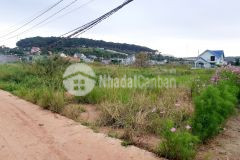Đất đầu tư nghỉ dưỡng vùng ven đà lạt lâm đồng, sẵn thổ cư, giá rẻ. sổ sẵn