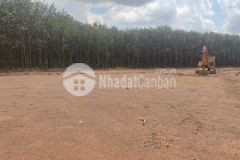 Đất đẹp đầu tư sinh lời cao đồng phú bình phước