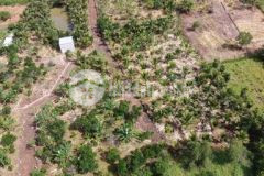 Cần bán gấp 3 sào vườn bơ gần kcn sông mây