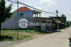 Hàng nóng giá quá tốt