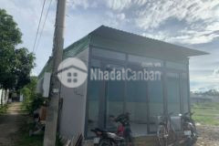 Nhà cấp 4 dt 515 giá 790tr 2pn2wc