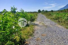 Có miếng đất củ cần bán gấp ở suối đá dmc