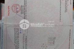 Lô góc công viên nở hậu tại long cang giá quá mềm