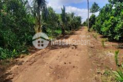 Sổ mới lấy về còn nóng giá đầu tư đất sào đồng nai